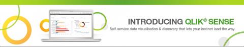 Qlik